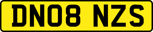 DN08NZS