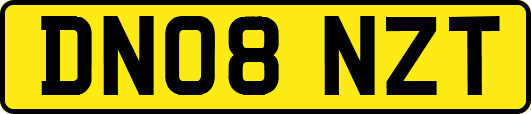 DN08NZT