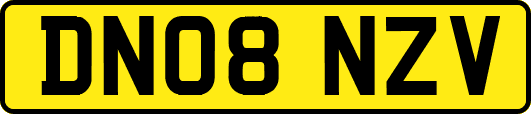 DN08NZV