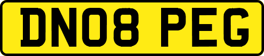 DN08PEG