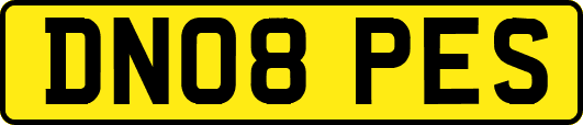 DN08PES