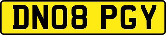 DN08PGY
