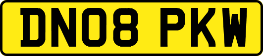 DN08PKW