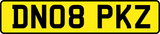 DN08PKZ