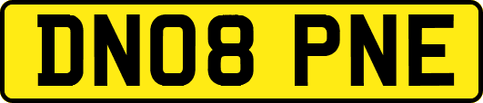 DN08PNE