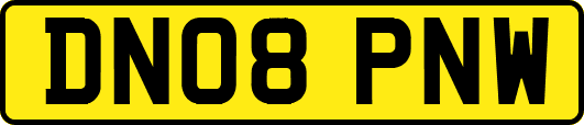 DN08PNW