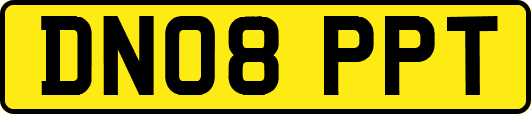 DN08PPT