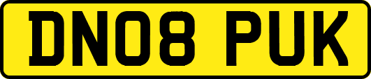 DN08PUK