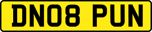 DN08PUN