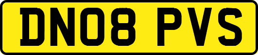 DN08PVS