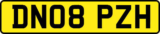 DN08PZH