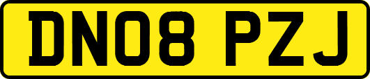 DN08PZJ