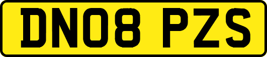 DN08PZS