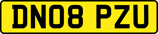 DN08PZU