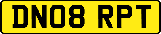 DN08RPT