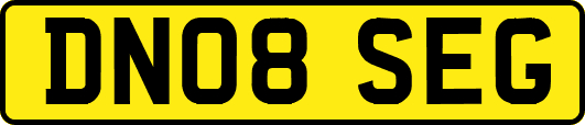 DN08SEG