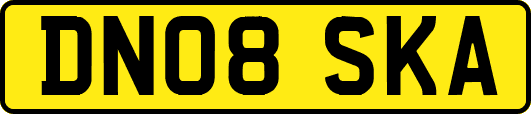 DN08SKA