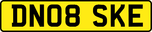 DN08SKE