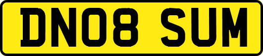 DN08SUM