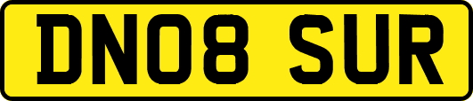 DN08SUR
