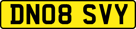 DN08SVY