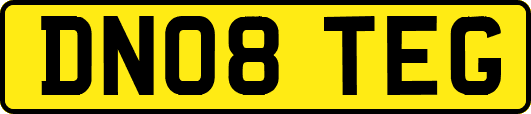 DN08TEG