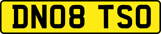 DN08TSO