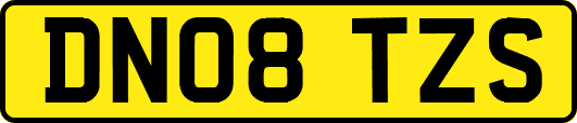 DN08TZS