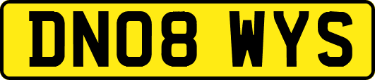 DN08WYS