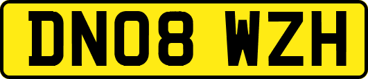 DN08WZH