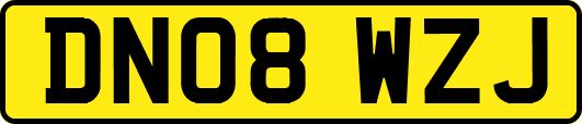 DN08WZJ