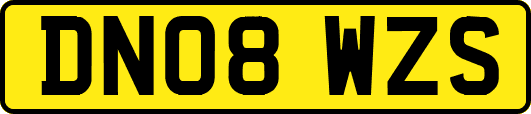 DN08WZS