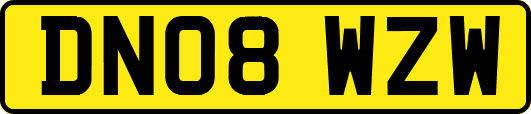 DN08WZW