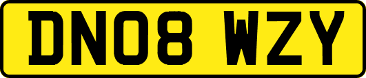 DN08WZY