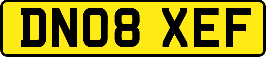 DN08XEF