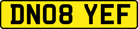 DN08YEF