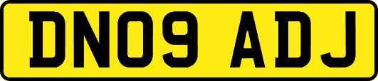 DN09ADJ
