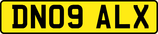 DN09ALX
