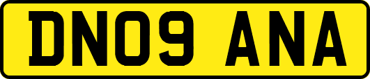 DN09ANA