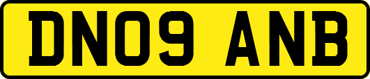DN09ANB