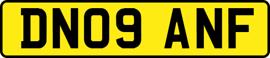DN09ANF