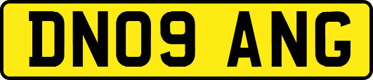 DN09ANG