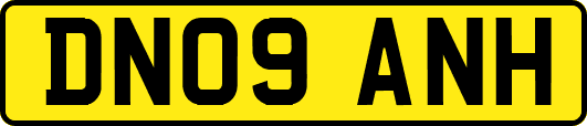 DN09ANH