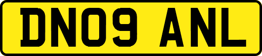 DN09ANL