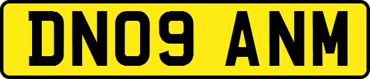 DN09ANM