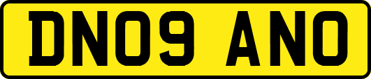 DN09ANO