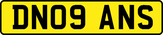 DN09ANS