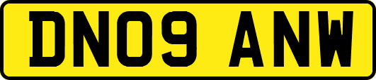 DN09ANW