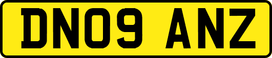 DN09ANZ