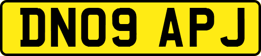 DN09APJ